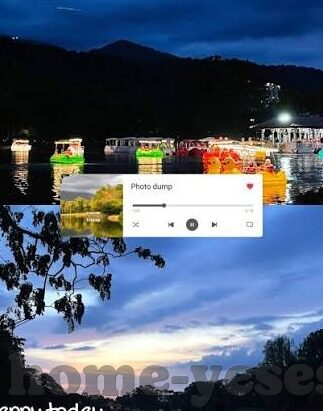 台湾大象传媒app下载-探索台湾大象传媒app的魅力与价值